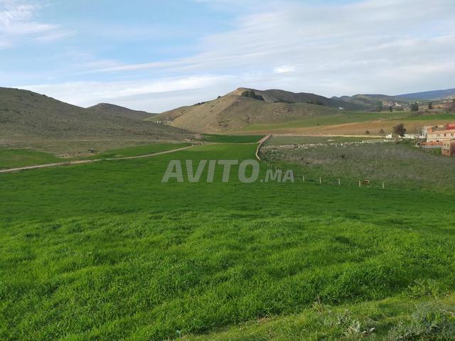 Propriété vente à Azrou