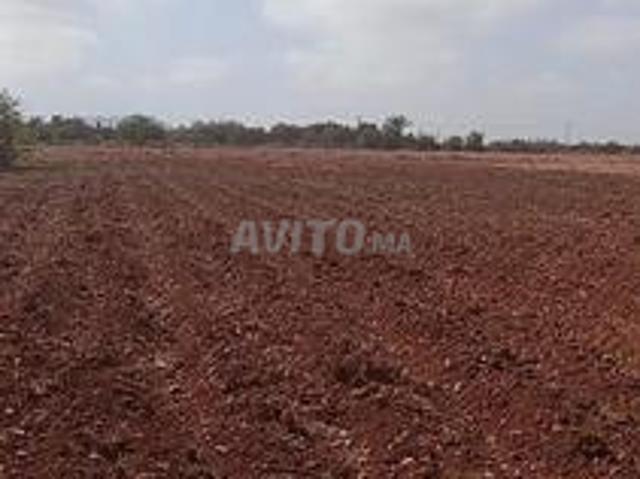 Propriété vente à Nador