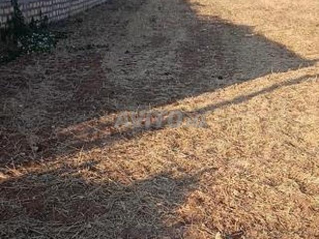 Propriété vente à Lamharza Essahel ⵍⵎⵀⴰⵔⵣⴰ ⵏ ⵙⴰⵃⵍ لمهارزة الساحل, Province d'El Jadida إقليم الجديدة