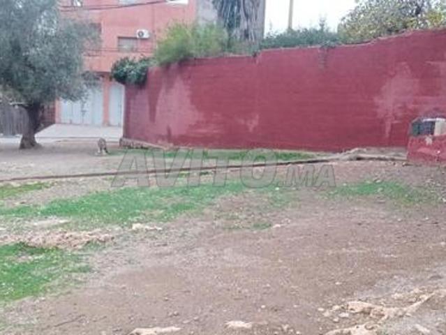 Maison vente à Mellal