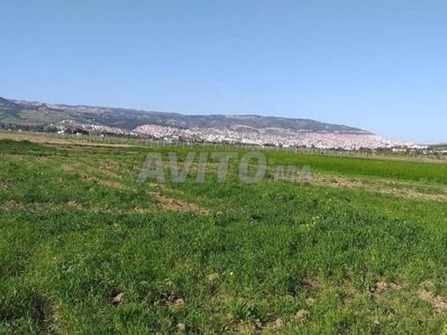 Propriété vente à Tétouan, Tanger-Tétouan