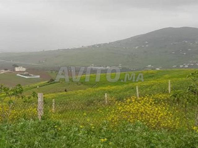 Propriété vente à Tétouan تطوان, Province de Tétouan إقليم تطوان