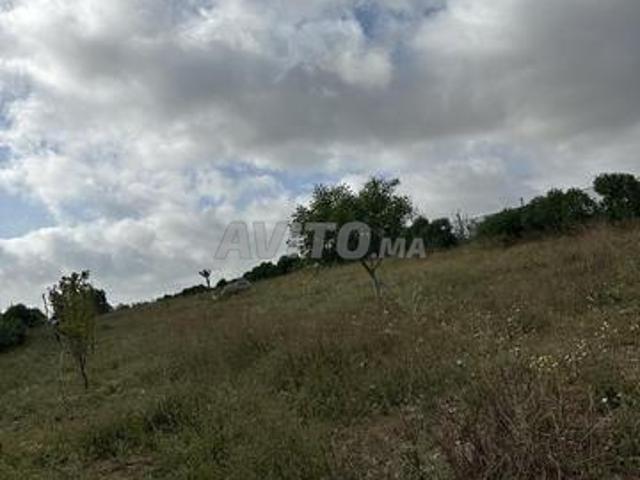 Propriété vente à El Ma, Gharb-Chrarda-Beni Hssen