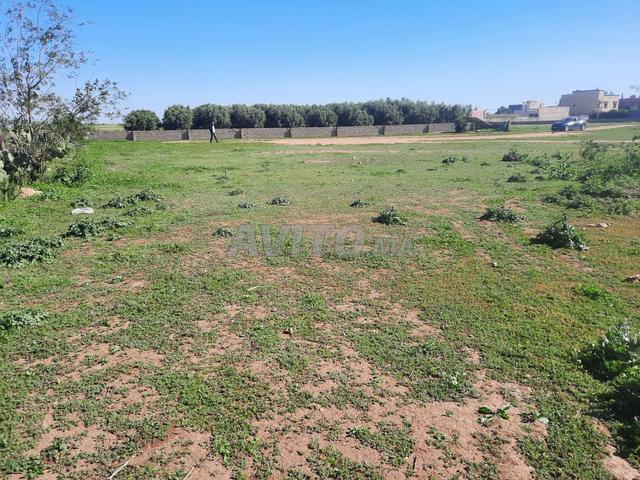 Propriété vente à Zmamra, Gharb-Chrarda-Beni Hssen
