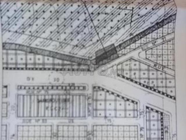 Propriété vente à Tissa