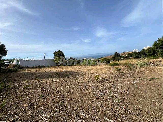 Propriété vente à El Fahs, Tanger-Tétouan