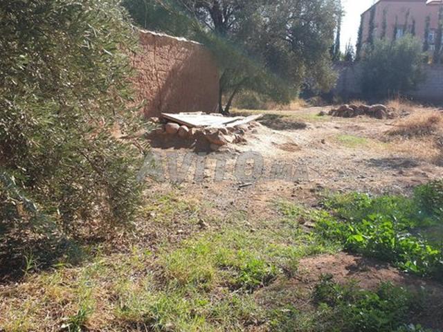 Propriété vente à Al Haouz, L'Oriental