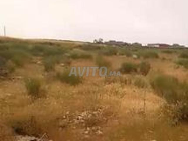 Propriété vente à El Ma, Gharb-Chrarda-Beni Hssen