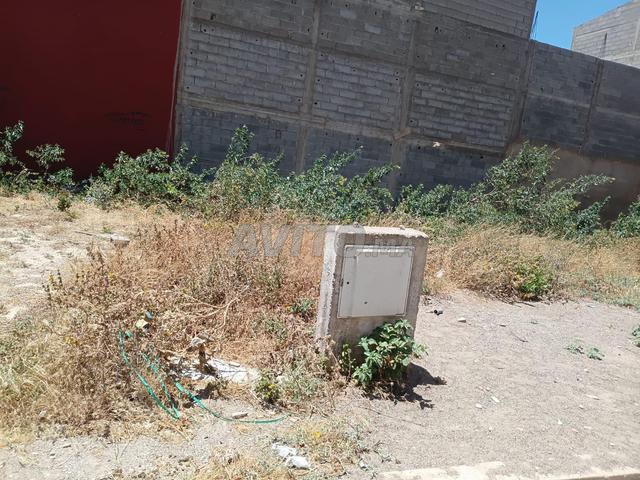 Propriété vente à Saf, L'Oriental