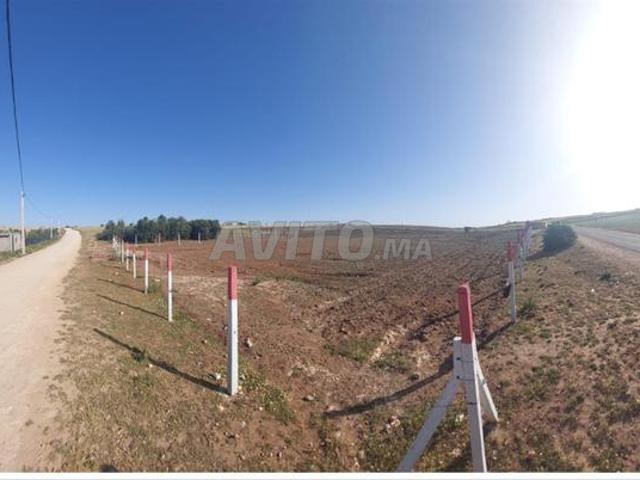 Propriété vente à pachalik d'El Jadida ⵍⵊⴰⴷⵉⴷⴰ الجديدة, Province d'El Jadida إقليم الجديدة