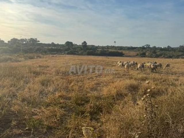 Propriété vente à El Ma, Gharb-Chrarda-Beni Hssen
