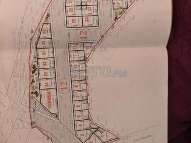 Propriété vente à Mellal