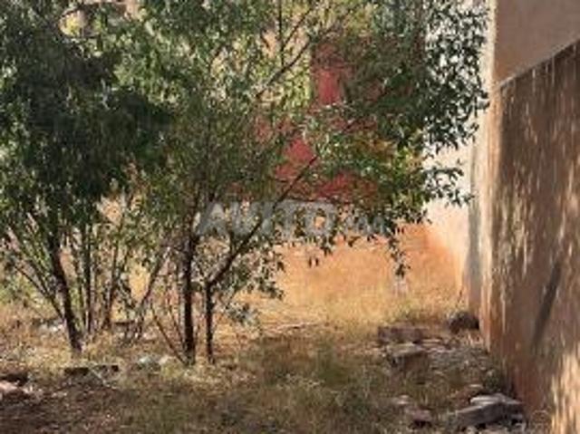 Propriété vente à Berkane