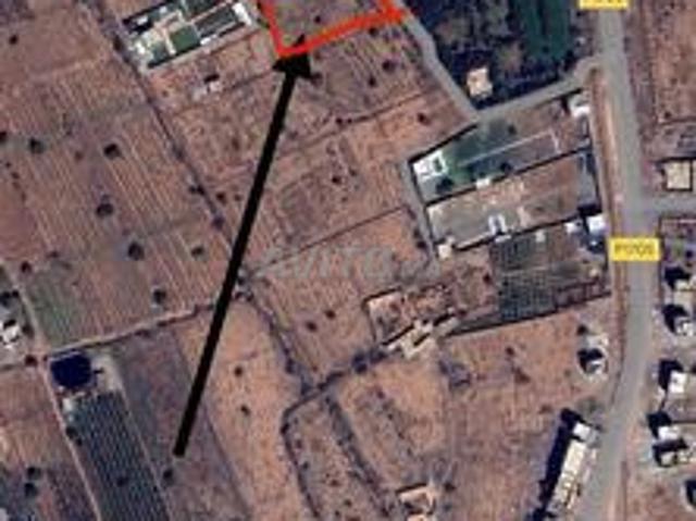 Propriété vente à Oued ed Dahab-Lagouira