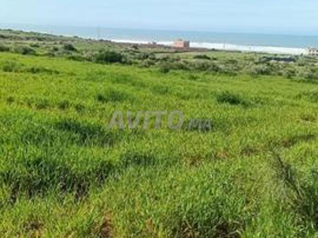 Propriété vente à Essaouira, L'Oriental