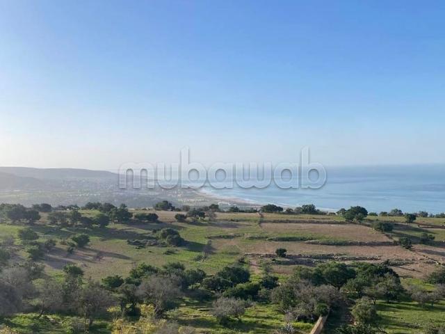 Terrain vente à Agadir, Oued ed Dahab-Lagouira