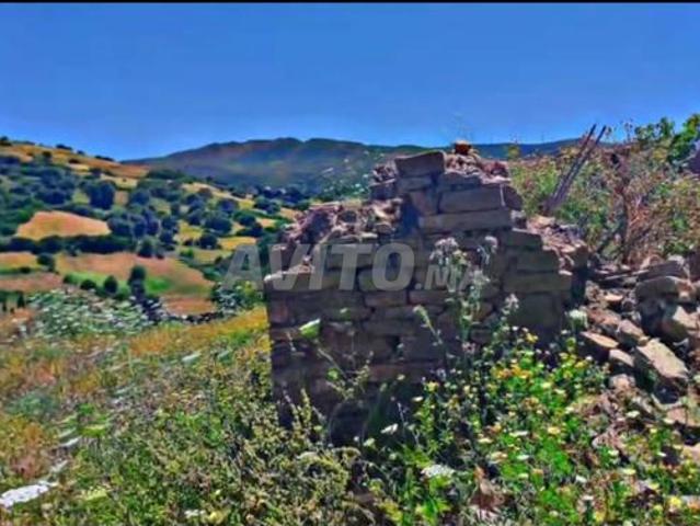 Propriété vente à Tétouan, Tanger-Tétouan