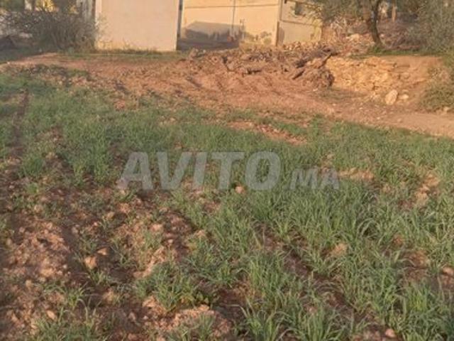 Propriété vente à Al Hoceïma, Tanger-Tétouan