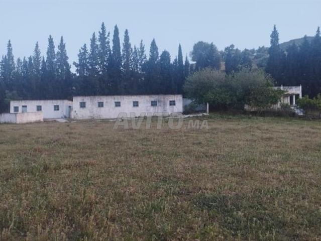 Propriété vente à Tétouan تطوان, Province de Tétouan إقليم تطوان