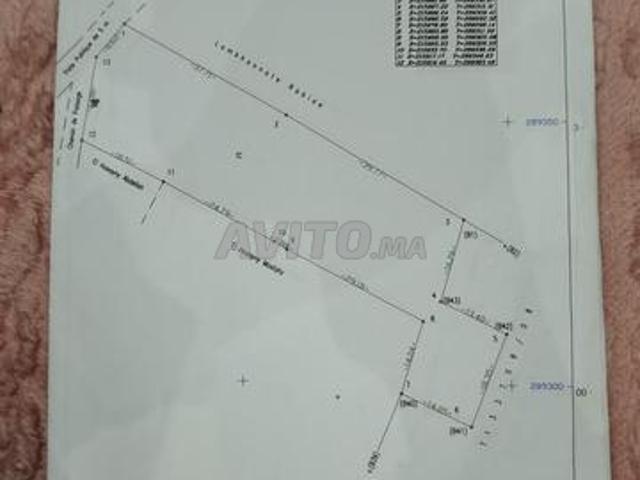 Propriété vente à El Ma, Gharb-Chrarda-Beni Hssen