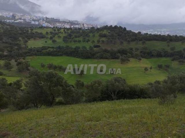 Propriété vente à Chauen, Tanger-Tétouan