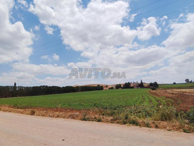 Propriété vente à El Gara, Gharb-Chrarda-Beni Hssen