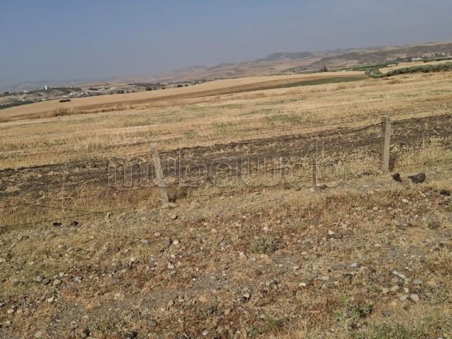 Ferme vente