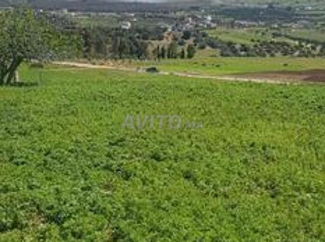 Propriété vente à Tétouan, Tanger-Tétouan