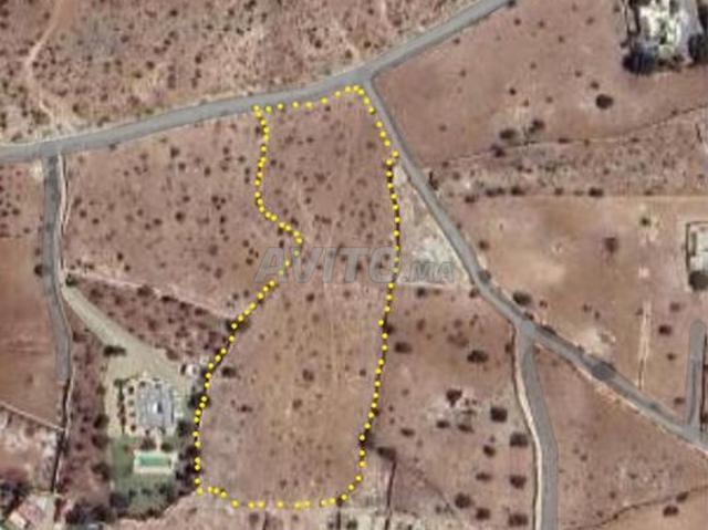 Propriété vente à Essaouira, L'Oriental