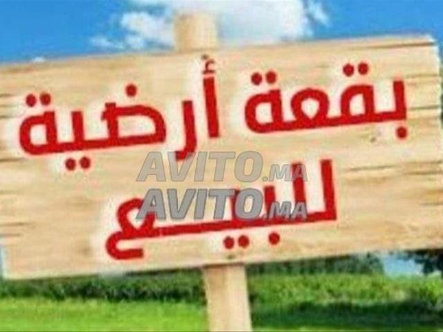 Propriété vente à Saf, L'Oriental