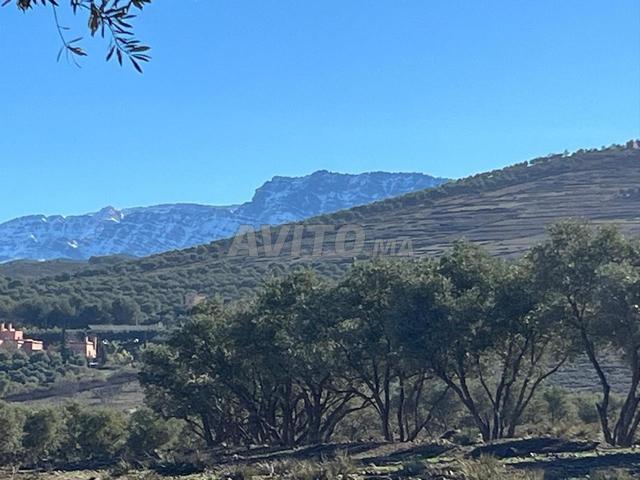 Propriété vente à Al Haouz, L'Oriental