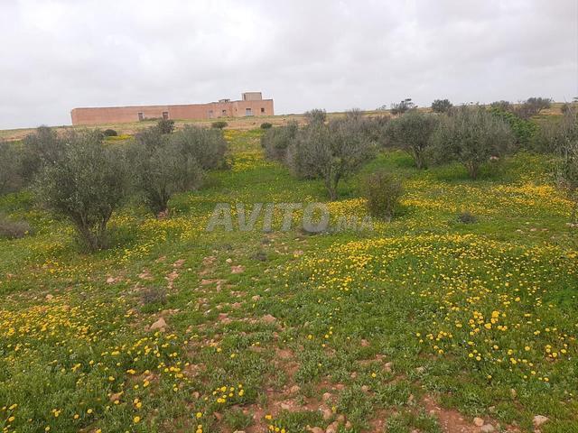 Propriété vente à Tiznit, Oued ed Dahab-Lagouira