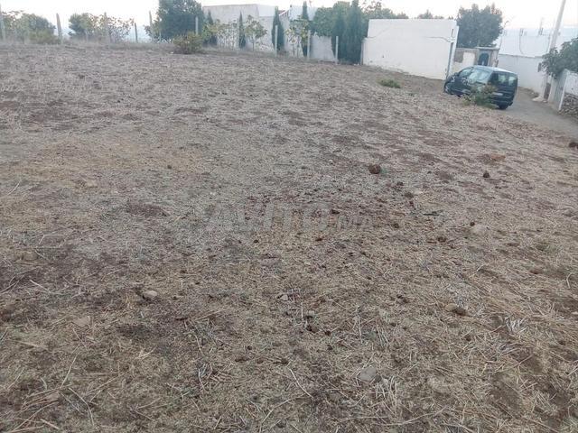 Propriété vente à Tétouan, Tanger-Tétouan