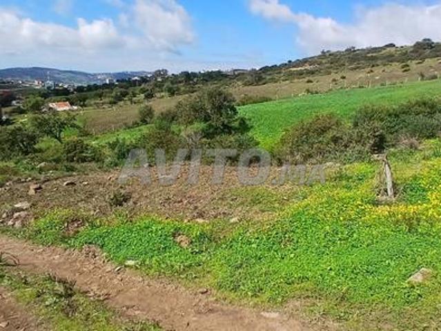Propriété vente à Tangero, Tanger-Tétouan