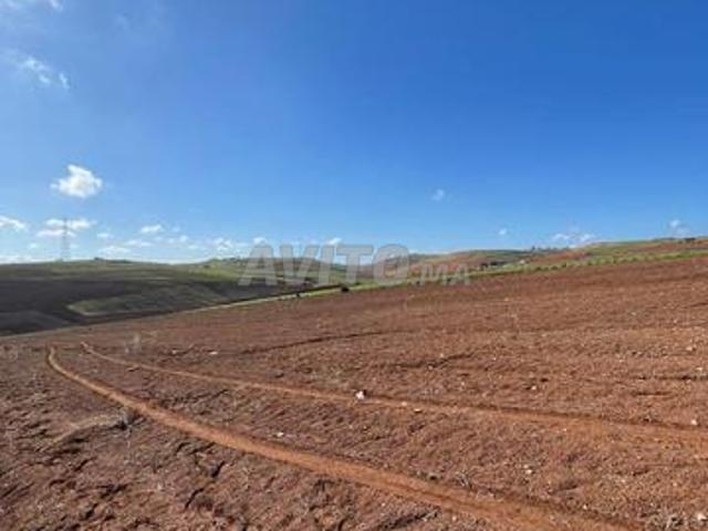 Propriété vente à Slimane, Gharb-Chrarda-Beni Hssen