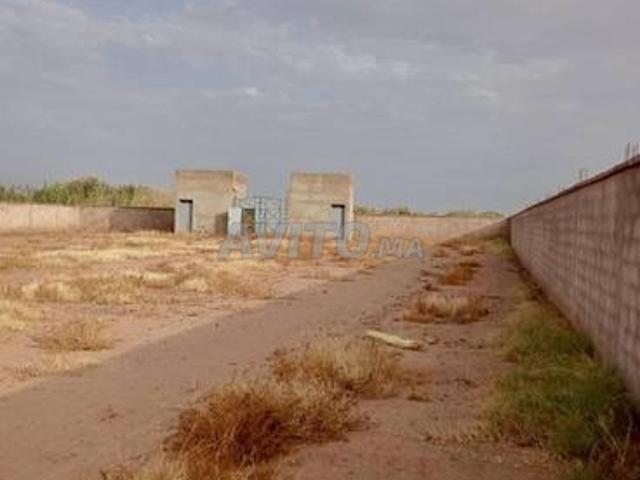 Propriété vente à Ouarzazate