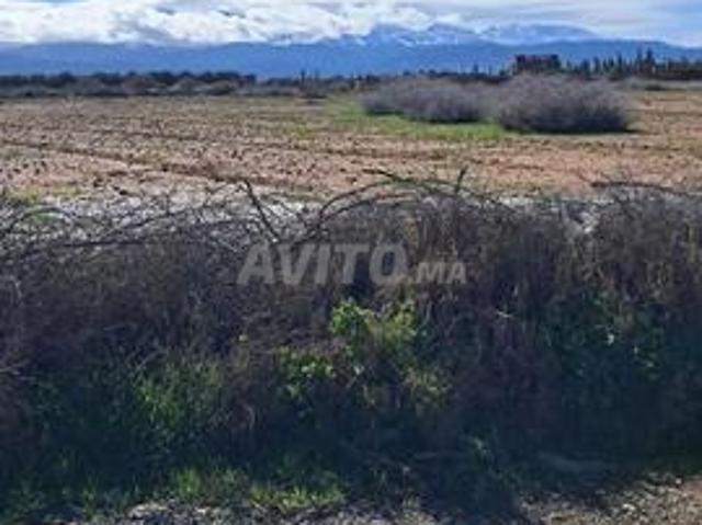 Propriété vente à Al Haouz, L'Oriental