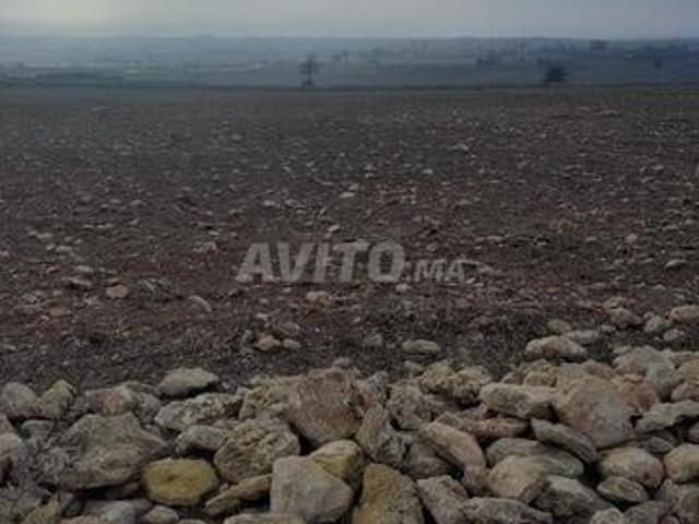 Propriété vente à El Ma, Gharb-Chrarda-Beni Hssen