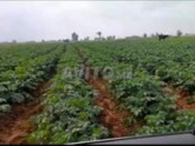 Propriété vente à El Ma, Gharb-Chrarda-Beni Hssen