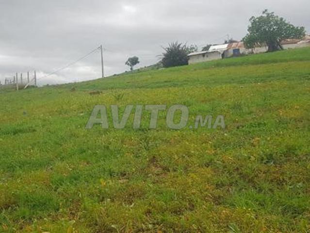 Propriété vente à Tétouan, Tanger-Tétouan