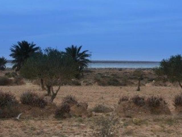 Terrain vente à Djerba - Houmet Essouk