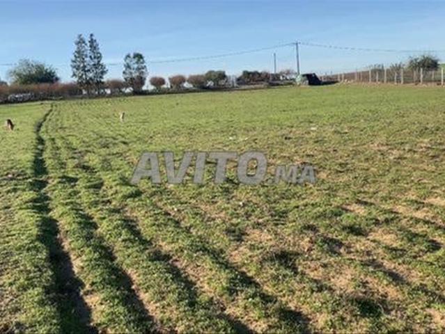 Propriété vente à El Ma, Gharb-Chrarda-Beni Hssen