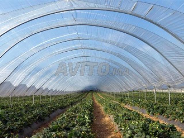 Propriété vente à Guelmim, Guelmim-Es Semara