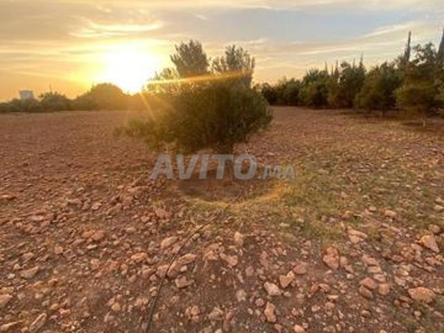 Propriété vente à Agadir, Oued ed Dahab-Lagouira