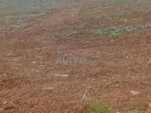 Propriété vente à Mellal