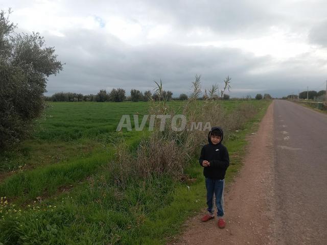 Propriété vente à Mellal