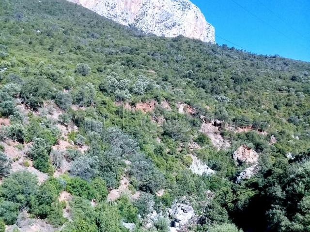 Terrain vente à Chauen, Tanger-Tétouan