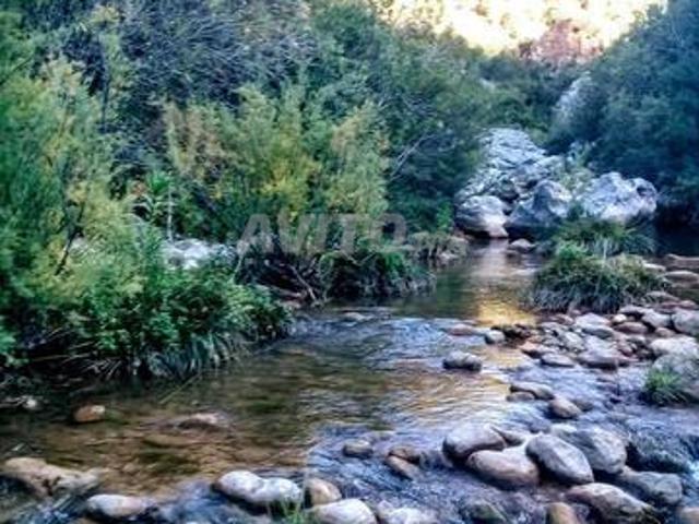 Propriété vente à Chauen, Tanger-Tétouan