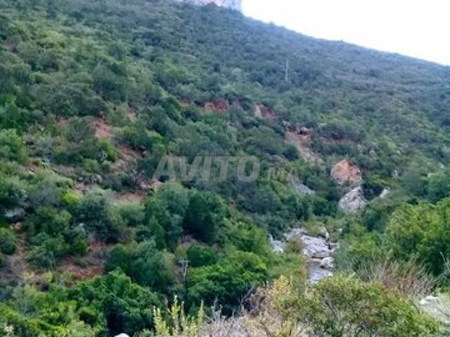 Propriété vente à Chauen, Tanger-Tétouan