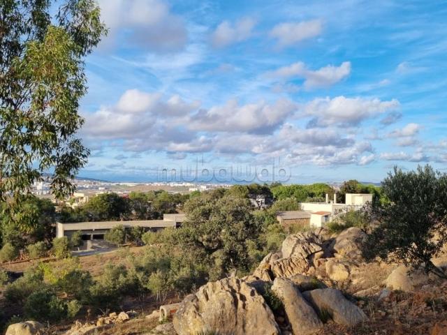 Terrain vente à Tanger-Tétouan